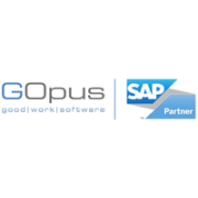 Senior Consultant SAP S/4HANA Finance / FI (m/w/d) job image